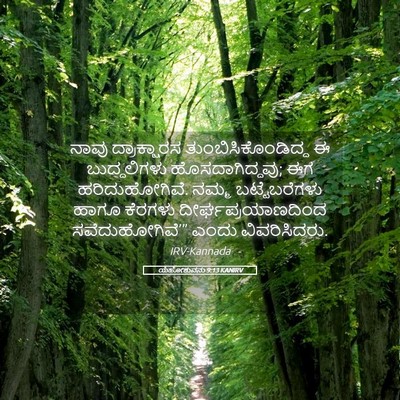 Picture 05 - ಯೆಹೋಶುವನು 9:13 KANIRV - ನಾವು ದ್ರಾಕ್ಷಾರಸ - Bible Verse Picture