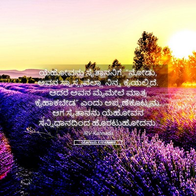 Picture 05 - ಯೋಬನು 1:12 KANIRV - ಯೆಹೋವನು - Bible Verse Picture