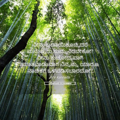 Picture 05 - ಯೋಬನು 11:3 KANIRV - ನೀನು - Bible Verse Picture