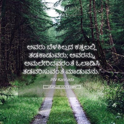 Picture 05 - ಯೋಬನು 12:25 KANIRV - ಅವರು ಬೆಳಕಿಲ್ಲದ - Bible Verse Picture