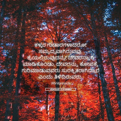 Picture 05 - ಯೋಬನು 12:6 KANIRV - ಕಳ್ಳರ ಗುಡಾರಗಳಾದರೋ - Bible Verse Picture