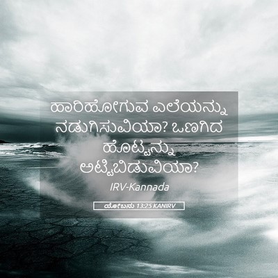 Picture 05 - ಯೋಬನು 13:25 KANIRV - ಹಾರಿಹೋಗುವ - Bible Verse Picture