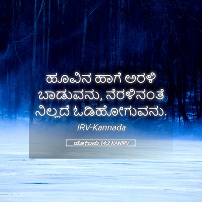 Picture 05 - ಯೋಬನು 14:2 KANIRV - ಹೂವಿನ ಹಾಗೆ ಅರಳಿ - Bible Verse Picture