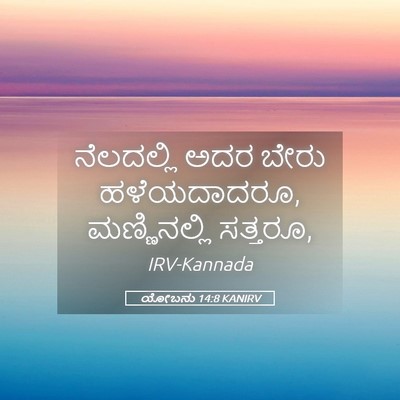 Picture 05 - ಯೋಬನು 14:8 KANIRV - ನೆಲದಲ್ಲಿ ಅದರ ಬೇರು - Bible Verse Picture
