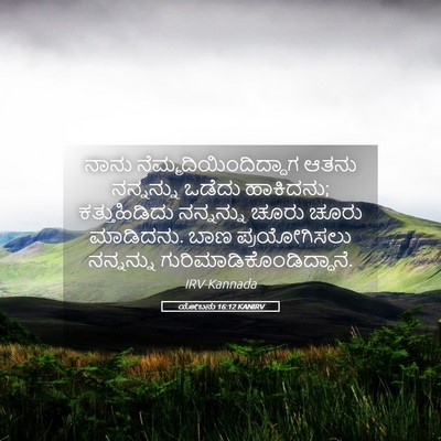Picture 05 - ಯೋಬನು 16:12 KANIRV - ನಾನು - Bible Verse Picture