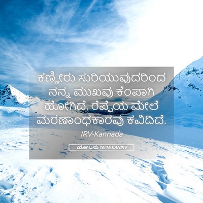 Picture 05 - ಯೋಬನು 16:16 KANIRV - ಕಣ್ಣೀರು - Bible Verse Picture