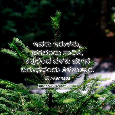 Picture 05 - ಯೋಬನು 17:12 KANIRV - ಇವರು ಇರುಳನ್ನು - Bible Verse Picture