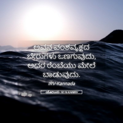Picture 05 - ಯೋಬನು 18:16 KANIRV - ಅವನ ವಂಶವೃಕ್ಷದ - Bible Verse Picture