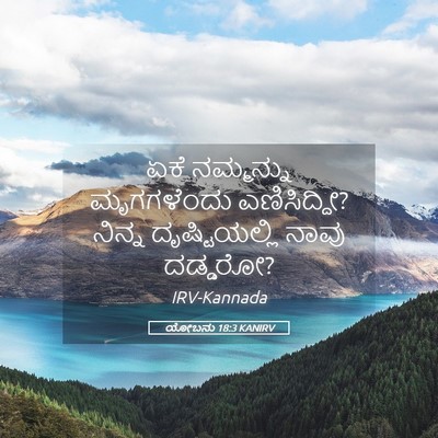 Picture 05 - ಯೋಬನು 18:3 KANIRV - ಏಕೆ ನಮ್ಮನ್ನು - Bible Verse Picture