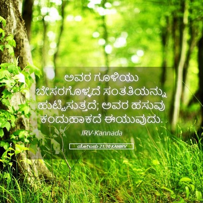 Picture 05 - ಯೋಬನು 21:10 KANIRV - ಅವರ ಗೂಳಿಯು - Bible Verse Picture