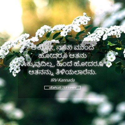 Picture 05 - ಯೋಬನು 23:8 KANIRV - ಅಯ್ಯೋ, ನಾನು ಮುಂದೆ - Bible Verse Picture
