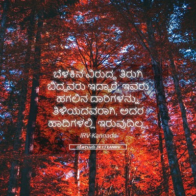 Picture 05 - ಯೋಬನು 24:13 KANIRV - ಬೆಳಕಿನ ವಿರುದ್ಧ - Bible Verse Picture