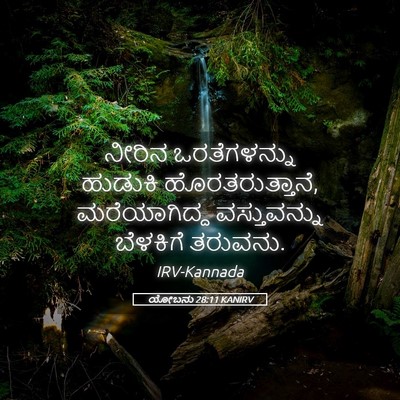 Picture 05 - ಯೋಬನು 28:11 KANIRV - ನೀರಿನ ಒರತೆಗಳನ್ನು - Bible Verse Picture