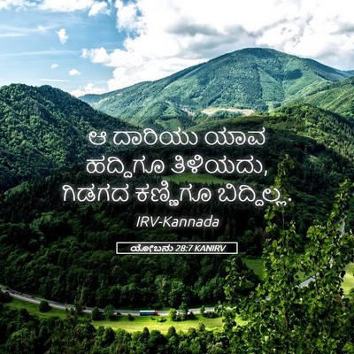 Picture 05 - ಯೋಬನು 28:7 KANIRV - ಆ ದಾರಿಯು ಯಾವ - Bible Verse Picture
