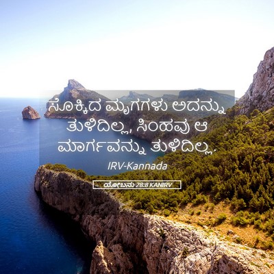Picture 05 - ಯೋಬನು 28:8 KANIRV - ಸೊಕ್ಕಿದ ಮೃಗಗಳು - Bible Verse Picture