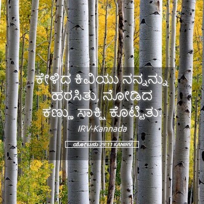 Picture 05 - ಯೋಬನು 29:11 KANIRV - ಕೇಳಿದ ಕಿವಿಯು - Bible Verse Picture