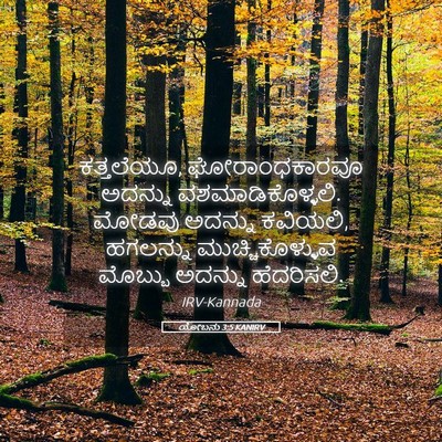 Picture 05 - ಯೋಬನು 3:5 KANIRV - ಕತ್ತಲೆಯೂ, - Bible Verse Picture