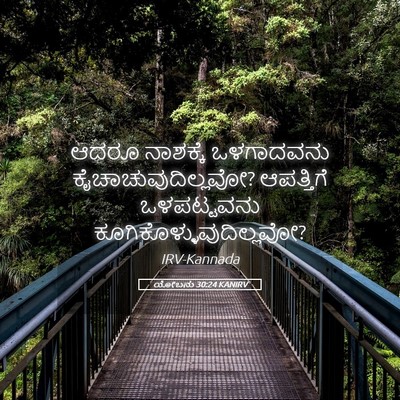 Picture 05 - ಯೋಬನು 30:24 KANIRV - ಆದರೂ ನಾಶಕ್ಕೆ - Bible Verse Picture