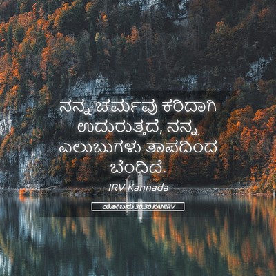 Picture 05 - ಯೋಬನು 30:30 KANIRV - ನನ್ನ ಚರ್ಮವು - Bible Verse Picture