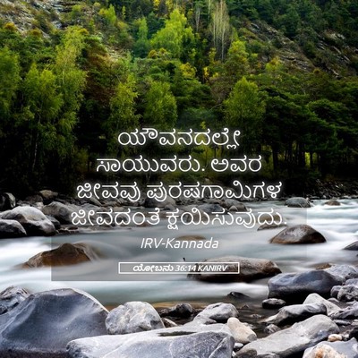Picture 05 - ಯೋಬನು 36:14 KANIRV - ಯೌವನದಲ್ಲೇ - Bible Verse Picture