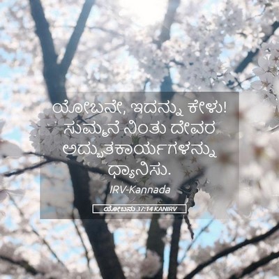 Picture 05 - ಯೋಬನು 37:14 KANIRV - ಯೋಬನೇ, ಇದನ್ನು ಕೇಳು! - Bible Verse Picture
