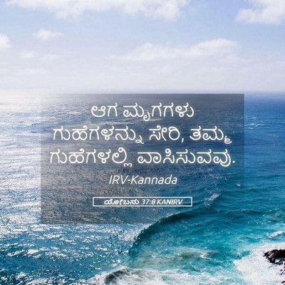 Picture 05 - ಯೋಬನು 37:8 KANIRV - ಆಗ ಮೃಗಗಳು - Bible Verse Picture