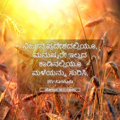 Picture 05 - ಯೋಬನು 38:25 KANIRV - ನಿರ್ಜನ - Bible Verse Picture