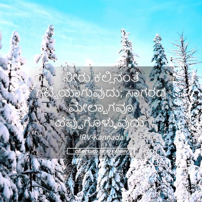 Picture 05 - ಯೋಬನು 38:30 KANIRV - ನೀರು ಕಲ್ಲಿನಂತೆ - Bible Verse Picture