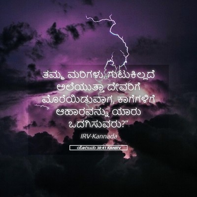 Picture 05 - ಯೋಬನು 38:41 KANIRV - ತಮ್ಮ ಮರಿಗಳು, - Bible Verse Picture