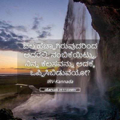 Picture 05 - ಯೋಬನು 39:11 KANIRV - ಬಲ - Bible Verse Picture
