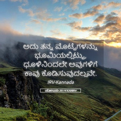 Picture 05 - ಯೋಬನು 39:14 KANIRV - ಅದು ತನ್ನ - Bible Verse Picture