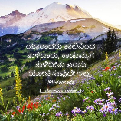 Picture 05 - ಯೋಬನು 39:15 KANIRV - ಯಾರಾದರು ಕಾಲಿನಿಂದ - Bible Verse Picture