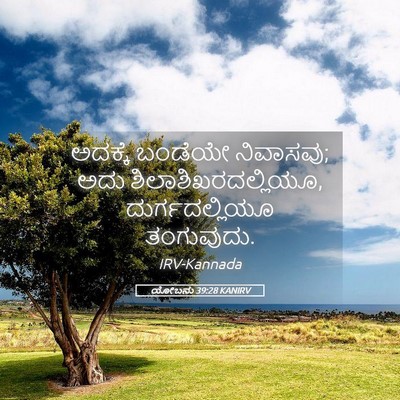 Picture 05 - ಯೋಬನು 39:28 KANIRV - ಅದಕ್ಕೆ ಬಂಡೆಯೇ - Bible Verse Picture