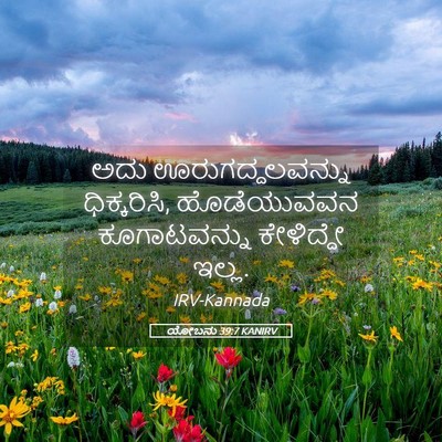 Picture 05 - ಯೋಬನು 39:7 KANIRV - ಅದು ಊರುಗದ್ದಲವನ್ನು - Bible Verse Picture