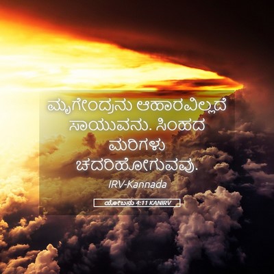 Picture 05 - ಯೋಬನು 4:11 KANIRV - ಮೃಗೇಂದ್ರನು - Bible Verse Picture