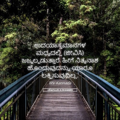 Picture 05 - ಯೋಬನು 4:20 KANIRV - ಉದಯಾಸ್ತಮಾನಗಳ - Bible Verse Picture