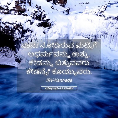 Picture 05 - ಯೋಬನು 4:8 KANIRV - ನಾನು ನೋಡಿರುವ - Bible Verse Picture