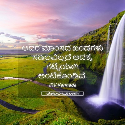 Picture 05 - ಯೋಬನು 41:23 KANIRV - ಅದರ ಮಾಂಸದ ಖಂಡಗಳು - Bible Verse Picture