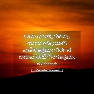 Picture 05 - ಯೋಬನು 41:29 KANIRV - ಅದು ದೊಣ್ಣೆಗಳನ್ನು - Bible Verse Picture