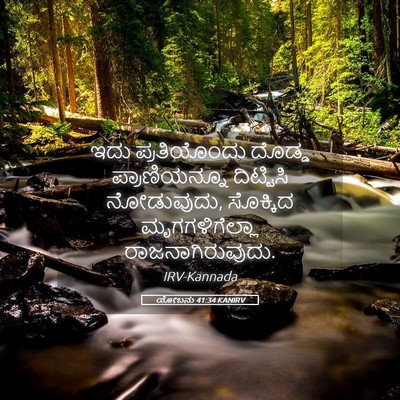 Picture 05 - ಯೋಬನು 41:34 KANIRV - ಇದು ಪ್ರತಿಯೊಂದು - Bible Verse Picture