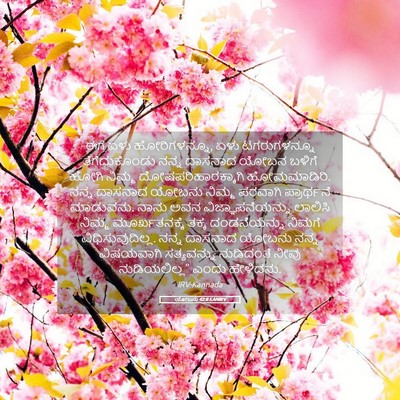 Picture 05 - ಯೋಬನು 42:8 KANIRV - ಈಗ ಏಳು ಹೋರಿಗಳನ್ನೂ, - Bible Verse Picture