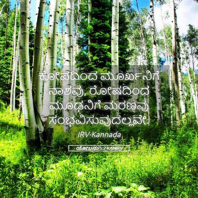 Picture 05 - ಯೋಬನು 5:2 KANIRV - ಕೋಪದಿಂದ ಮೂರ್ಖನಿಗೆ - Bible Verse Picture