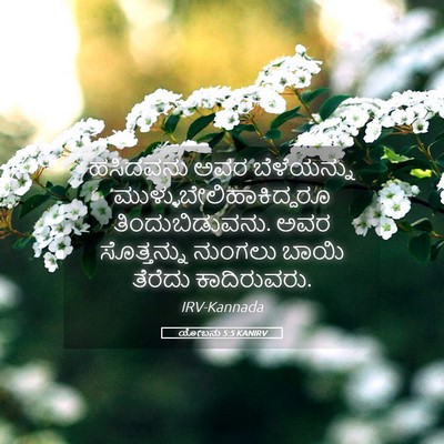 Picture 05 - ಯೋಬನು 5:5 KANIRV - ಹಸಿದವನು ಅವರ - Bible Verse Picture