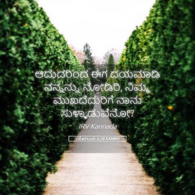 Picture 05 - ಯೋಬನು 6:28 KANIRV - ಆದುದರಿಂದ ಈಗ - Bible Verse Picture