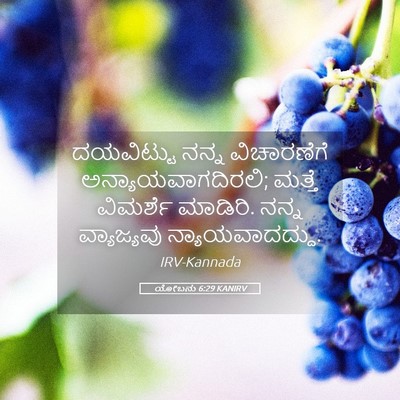 Picture 05 - ಯೋಬನು 6:29 KANIRV - ದಯವಿಟ್ಟು ನನ್ನ - Bible Verse Picture