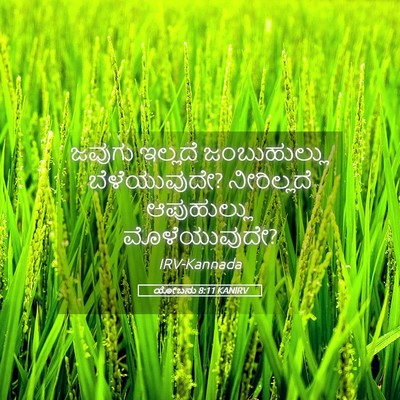 Picture 05 - ಯೋಬನು 8:11 KANIRV - ಜವುಗು ಇಲ್ಲದೆ - Bible Verse Picture