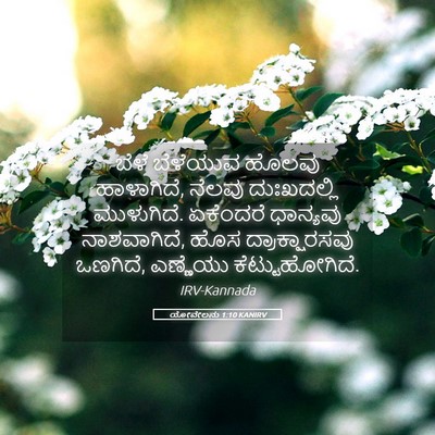 Picture 05 - ಯೋವೇಲನು 1:10 KANIRV - ಬೆಳೆ ಬೆಳೆಯುವ - Bible Verse Picture