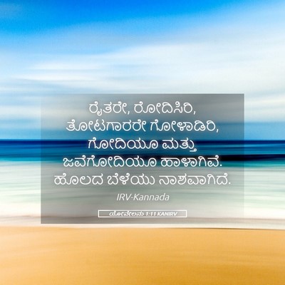 Picture 05 - ಯೋವೇಲನು 1:11 KANIRV - ರೈತರೇ, ರೋದಿಸಿರಿ, - Bible Verse Picture