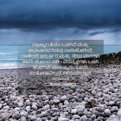 Picture 05 - ಯೋವೇಲನು 1:12 KANIRV - ದ್ರಾಕ್ಷಾಲತೆಯು - Bible Verse Picture