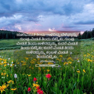 Picture 05 - ಯೋವೇಲನು 1:4 KANIRV - ಚೂರಿಮಿಡತೆ ತಿಂದು - Bible Verse Picture